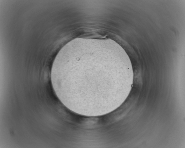 X0000113900474200910221442