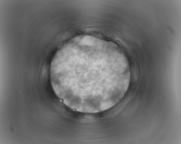 X0000113900475200910221442