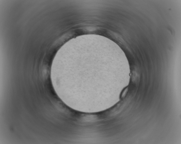 X0000113900476200910221442