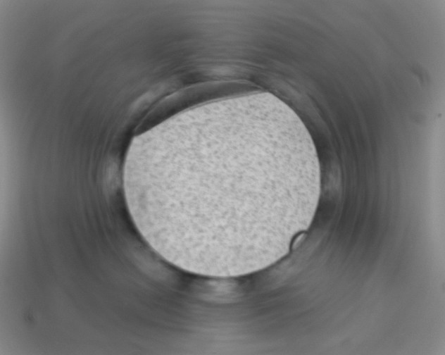 X0000113900478200910221442