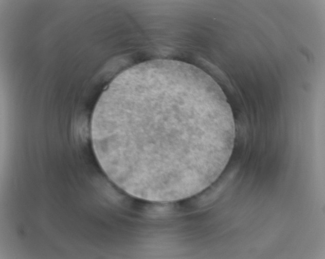 X0000113900479200910221442