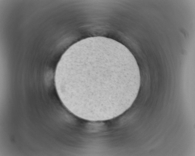X0000113900480200910221442