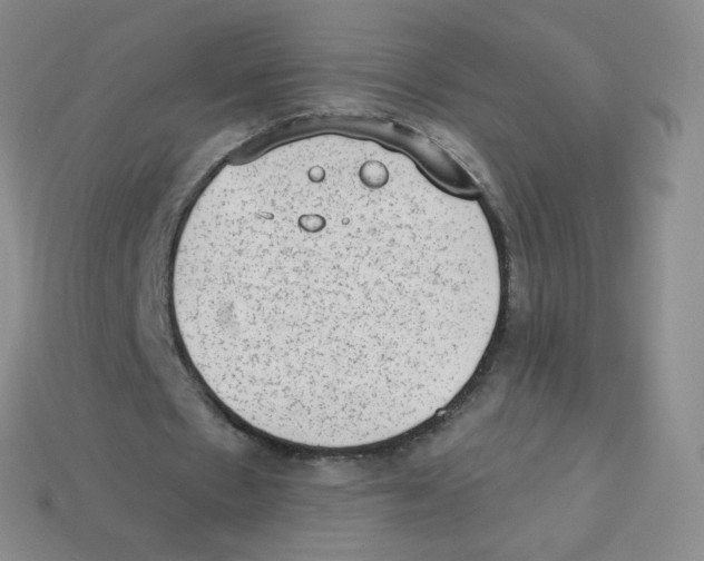 X0000113900481200910221441