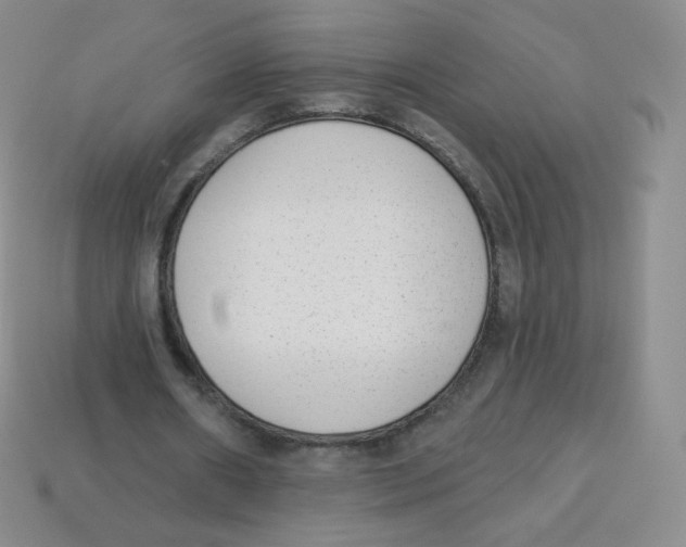 X0000113900482200910221441