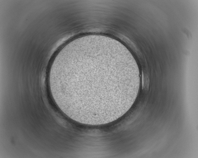 X0000113900483200910221441