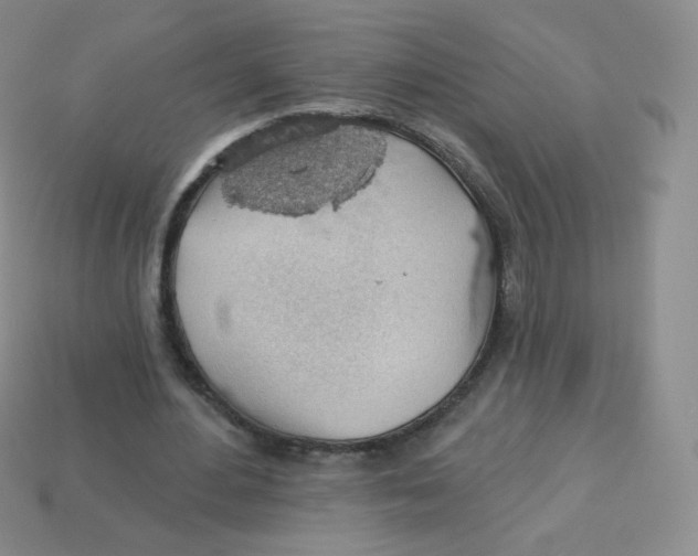 X0000113900484200910221441