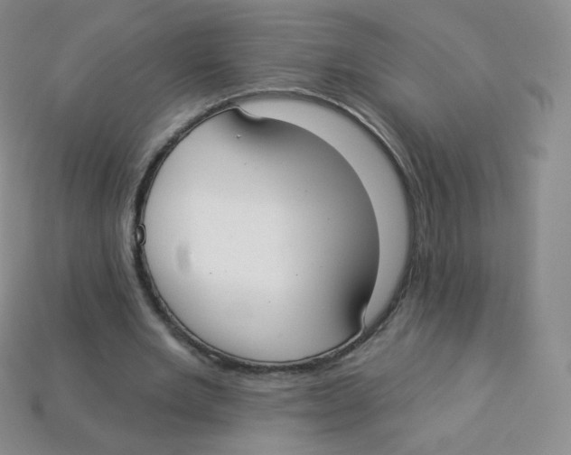 X0000113900485200910221441