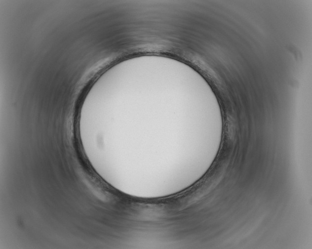 X0000113900486200910221441