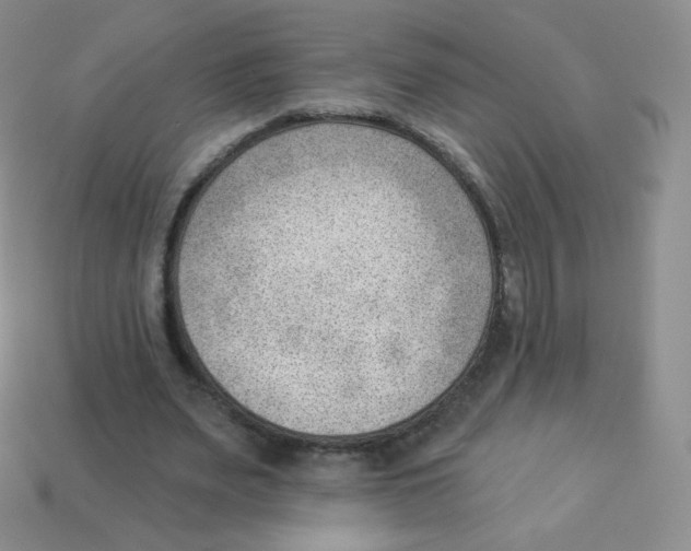 X0000113900487200910221441