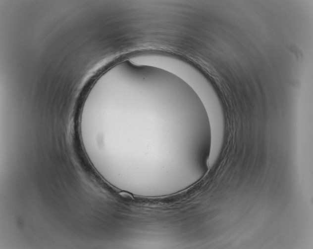 X0000113900488200910221441