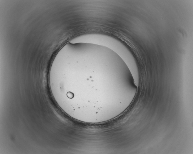 X0000113900489200910221441