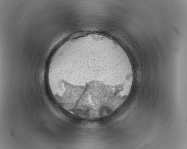 X0000113900491200910221441