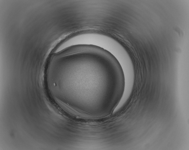 X0000113900492200910221441