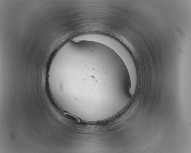 X0000113900493200910221441
