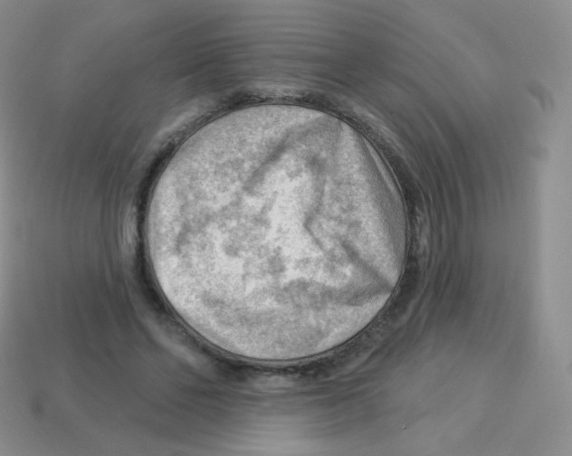 X0000113900494200910221441