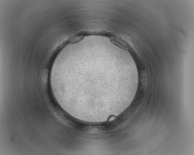 X0000113900495200910221441