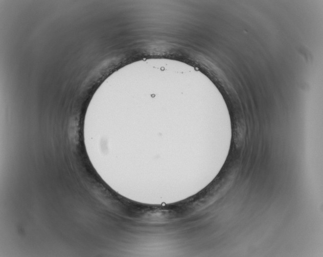 X0000113900497200910221441