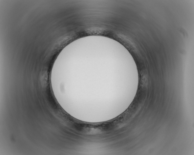 X0000113900498200910221441