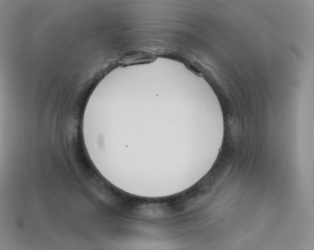 X0000113900499200910221441