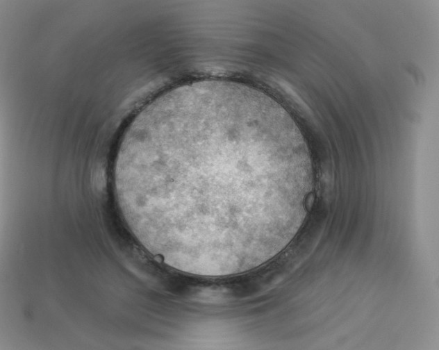 X0000113900500200910221441