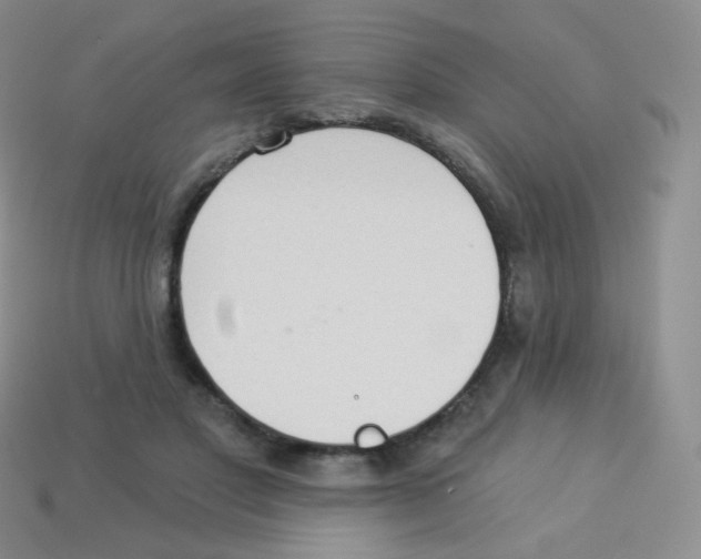 X0000113900501200910221441