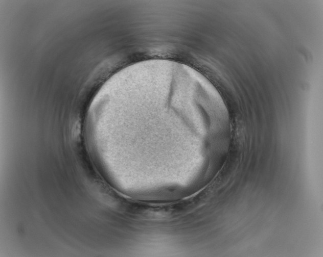 X0000113900502200910221441