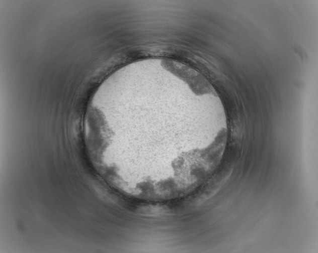 X0000113900503200910221441