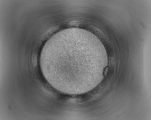 X0000113900504200910221441