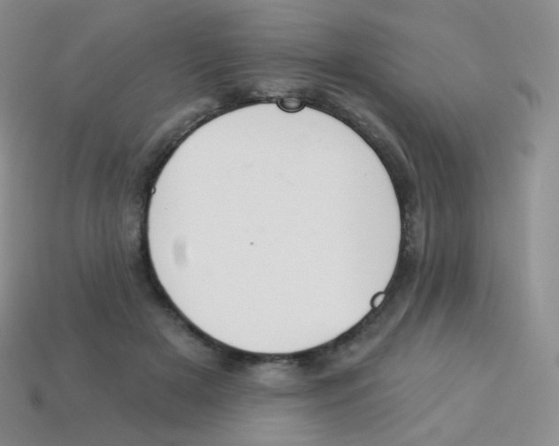 X0000113900505200910221441