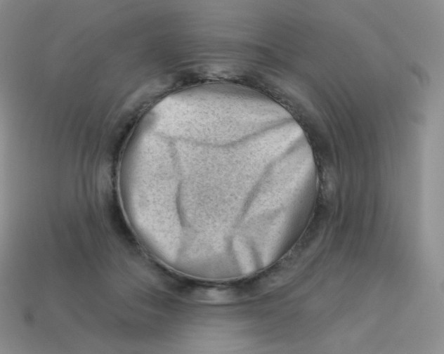 X0000113900506200910221441