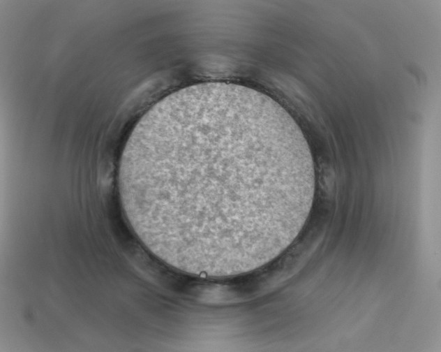 X0000113900507200910221441
