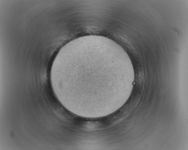 X0000113900508200910221441