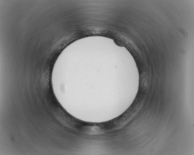 X0000113900509200910221441