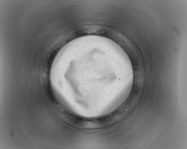 X0000113900510200910221441