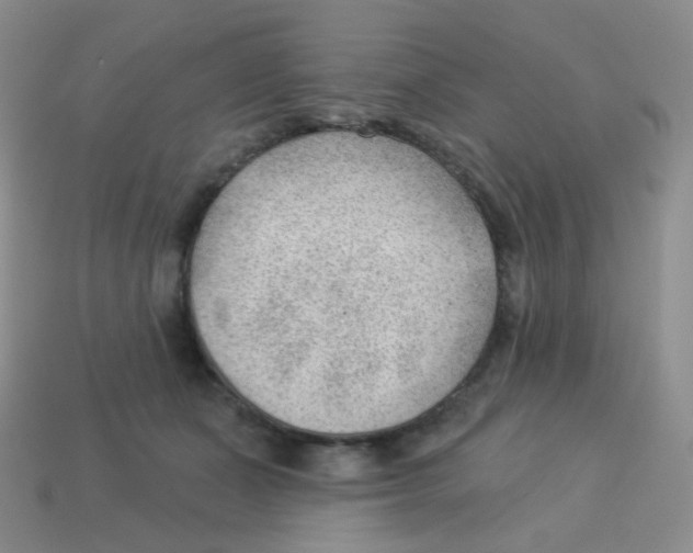 X0000113900511200910221441