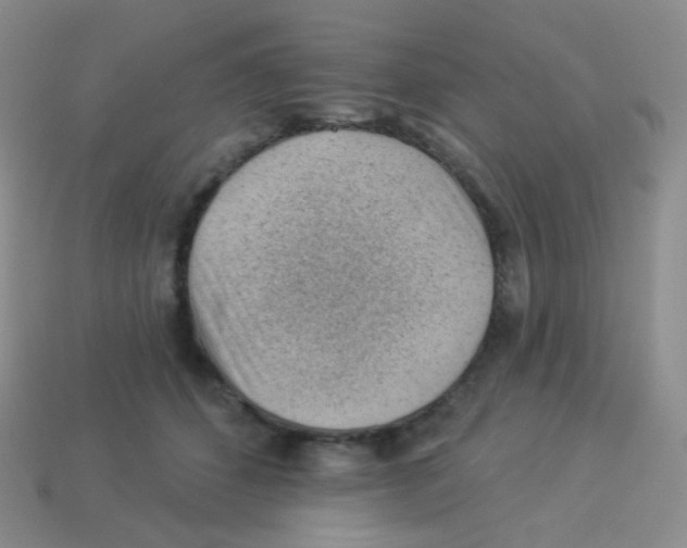X0000113900512200910221441