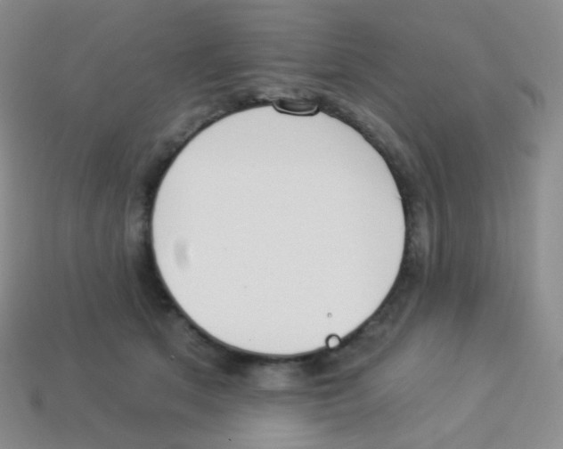 X0000113900513200910221441