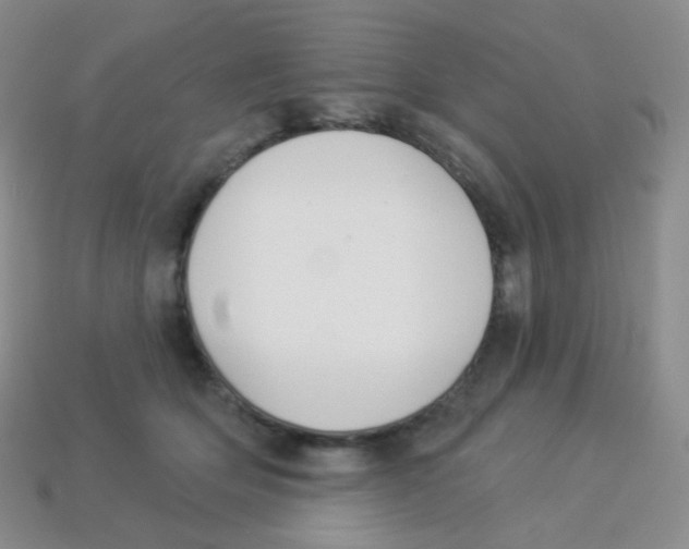 X0000113900514200910221441