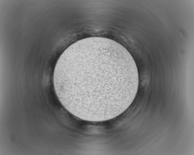 X0000113900515200910221441