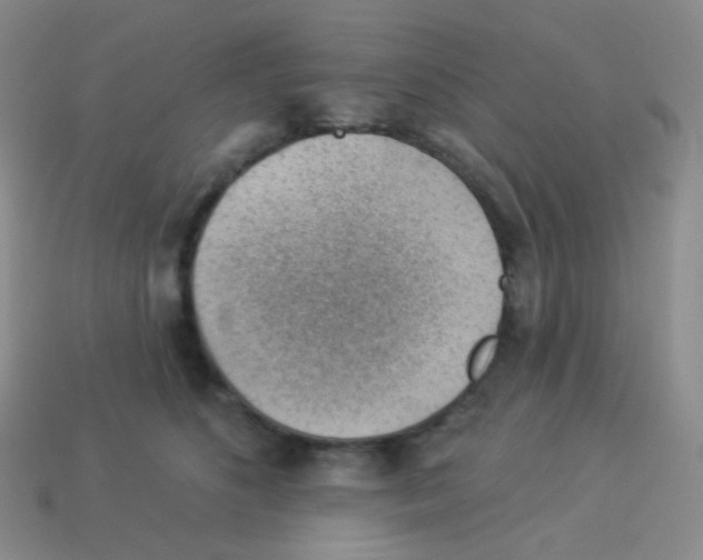 X0000113900516200910221441