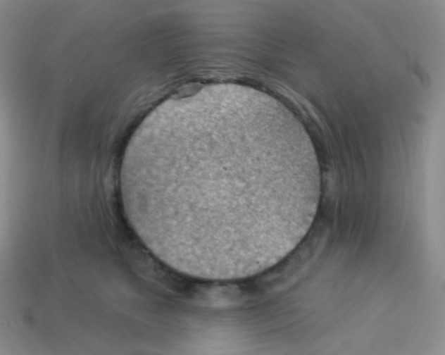 X0000113900517200910221441