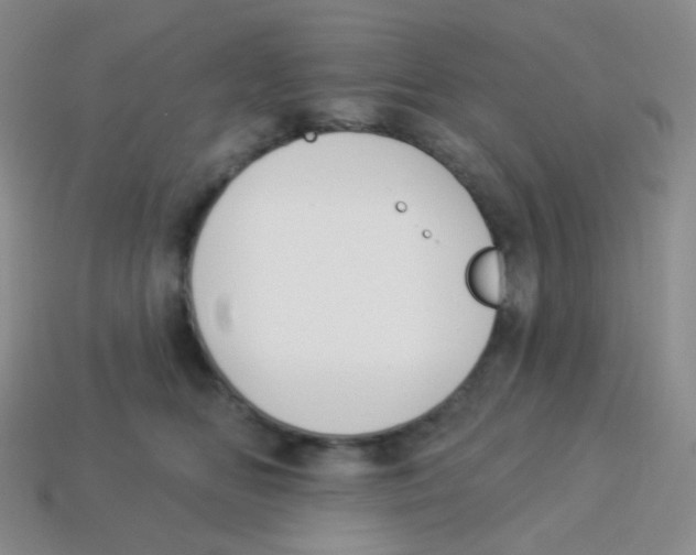 X0000113900518200910221441