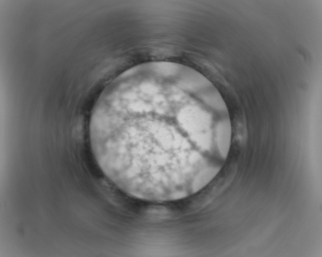 X0000113900519200910221441