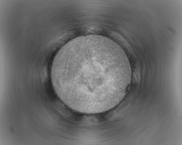 X0000113900520200910221441