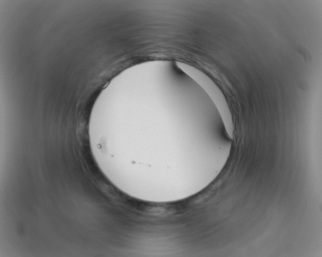 X0000113900521200910221441