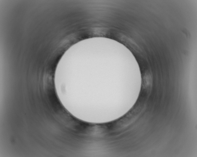 X0000113900522200910221441