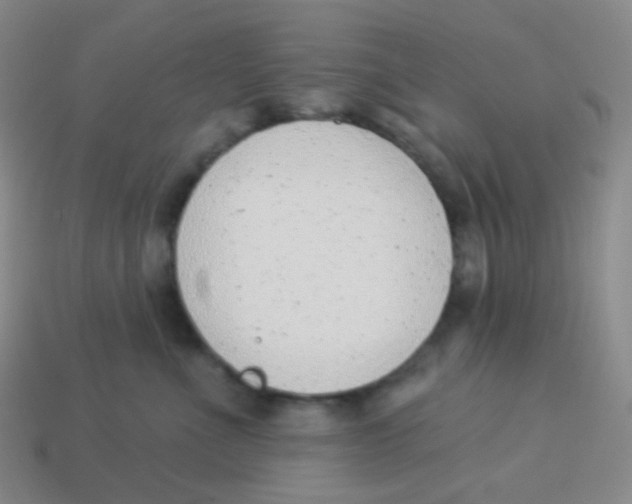 X0000113900523200910221441