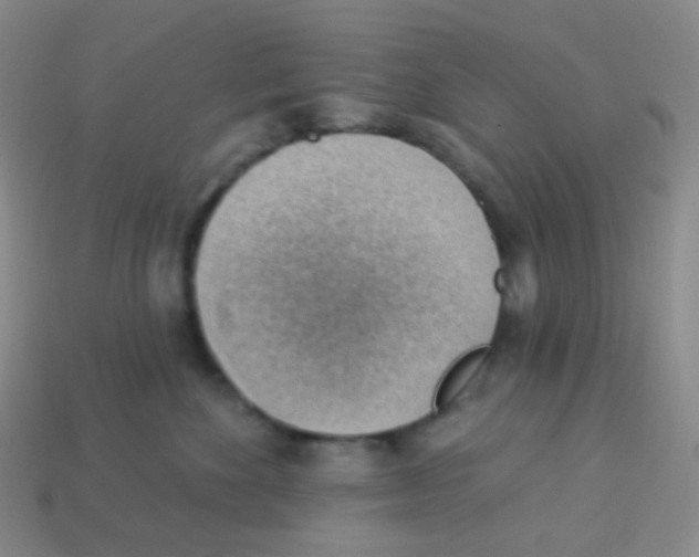 X0000113900524200910221441