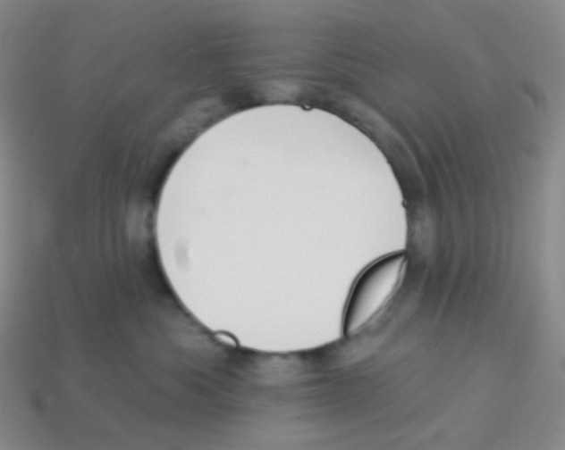 X0000113900525200910221441