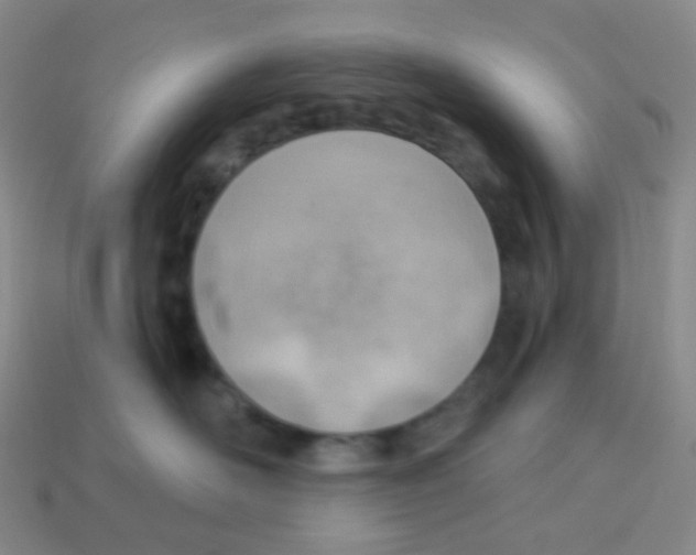 X0000113900526200910221441
